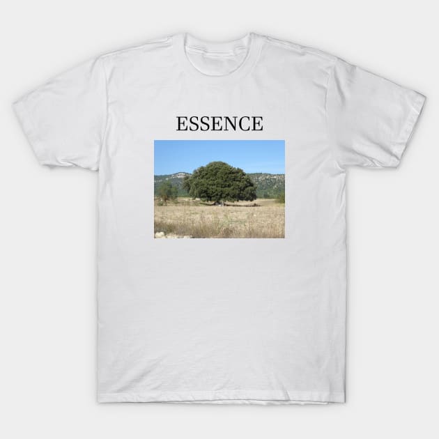 ESSENCE T-Shirt by jcnenm